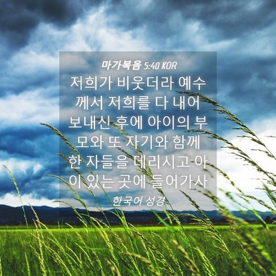 Picture 04 - 마가복음 5:40 KOR - 저희가 비웃더라 예수께서 저희를 다 - Bible Verse Picture