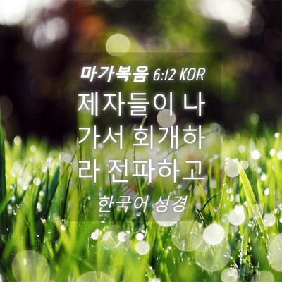 Picture 04 - 마가복음 6:12 KOR - 제자들이 나가서 회개하라 - Bible Verse Picture