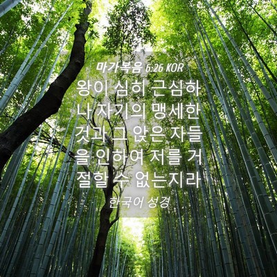 Picture 04 - 마가복음 6:26 KOR - 왕이 심히 근심하나 자기의 맹세한 - Bible Verse Picture