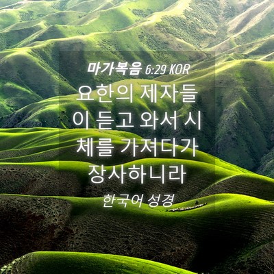 Picture 04 - 마가복음 6:29 KOR - 요한의 제자들이 듣고 와서 시체를 - Bible Verse Picture