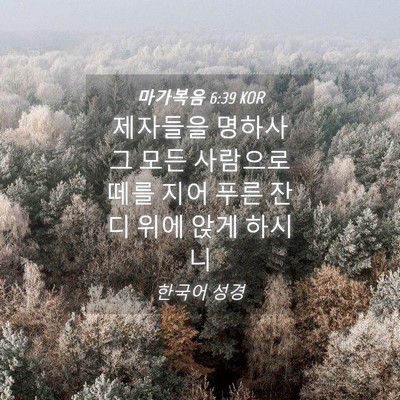 Picture 04 - 마가복음 6:39 KOR - 제자들을 명하사 그 모든 사람으로 - Bible Verse Picture