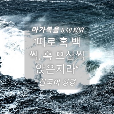 Picture 04 - 마가복음 6:40 KOR - 
