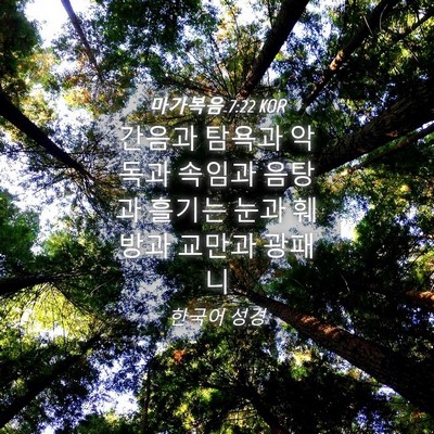 Picture 04 - 마가복음 7:22 KOR - 간음과 탐욕과 악독과 속임과 음탕과 - Bible Verse Picture