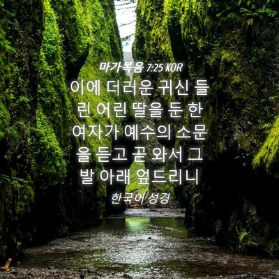 Picture 04 - 마가복음 7:25 KOR - 이에 더러운 귀신 들린 어린 딸을 둔 - Bible Verse Picture