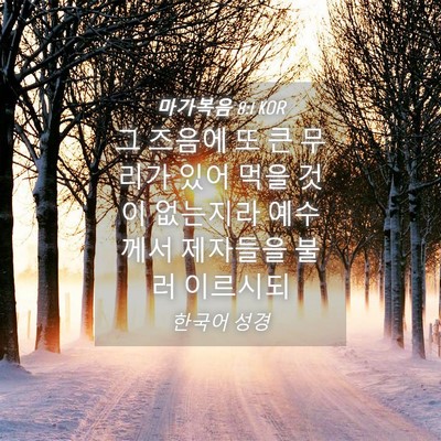 Picture 04 - 마가복음 8:1 KOR - 그 즈음에 또 큰 무리가 있어 먹을 - Bible Verse Picture