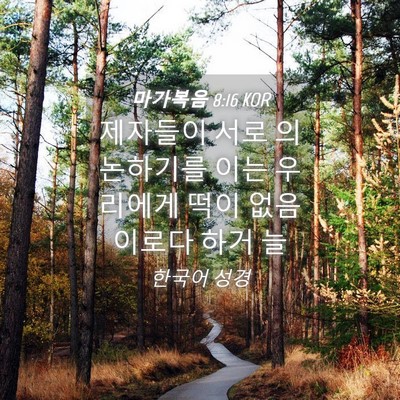 Picture 04 - 마가복음 8:16 KOR - 제자들이 서로 의논하기를 이는 - Bible Verse Picture
