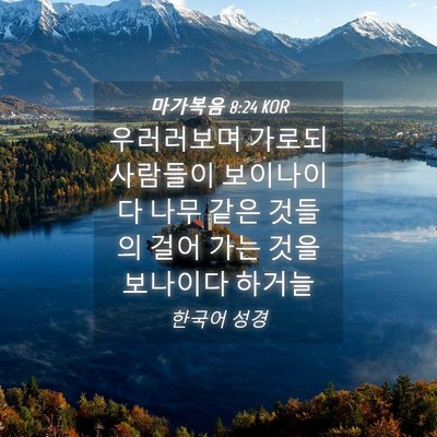 Picture 04 - 마가복음 8:24 KOR - 우러러보며 가로되 사람들이 - Bible Verse Picture