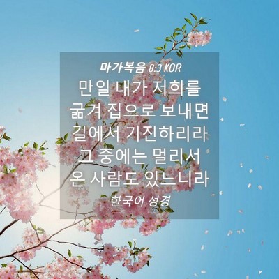 Picture 04 - 마가복음 8:3 KOR - 만일 내가 저희를 굶겨 집으로 - Bible Verse Picture