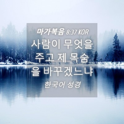 Picture 04 - 마가복음 8:37 KOR - 사람이 무엇을 주고 제 목숨을 - Bible Verse Picture