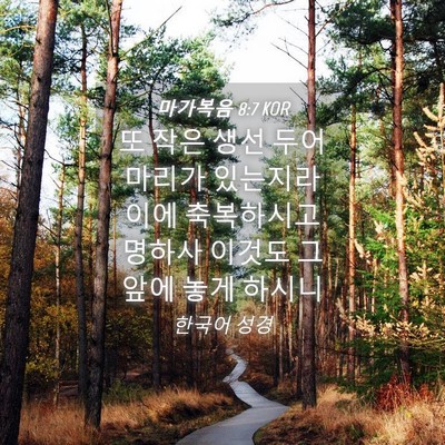 Picture 04 - 마가복음 8:7 KOR - 또 작은 생선 두어 마리가 있는지라 - Bible Verse Picture