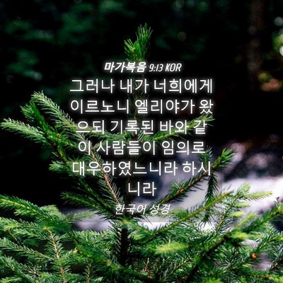 Picture 04 - 마가복음 9:13 KOR - 그러나 내가 너희에게 이르노니 - Bible Verse Picture