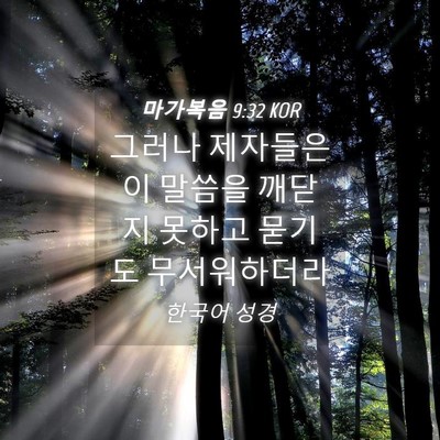 Picture 04 - 마가복음 9:32 KOR - 그러나 제자들은 이 말씀을 깨닫지 - Bible Verse Picture