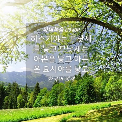 Picture 04 - 마태복음 1:10 KOR - 히스기야는 므낫세를 낳고 므낫세는 - Bible Verse Picture