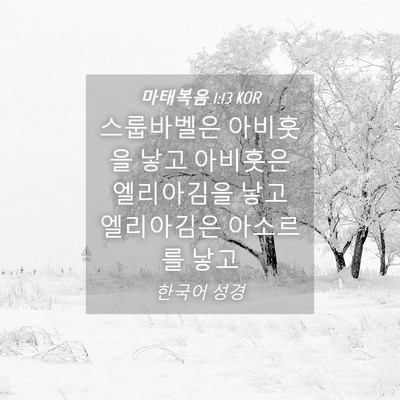 Picture 04 - 마태복음 1:13 KOR - 스룹바벨은 아비훗을 낳고 아비훗은 - Bible Verse Picture