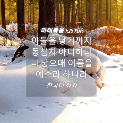 Picture 04 - 마태복음 1:25 KOR - 아들을 낳기까지 동침치 아니하더니 - Bible Verse Picture