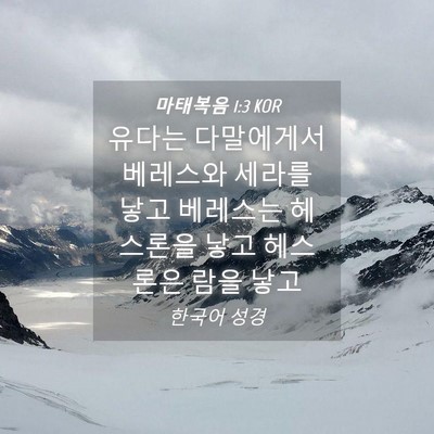 Picture 04 - 마태복음 1:3 KOR - 유다는 다말에게서 베레스와 세라를 - Bible Verse Picture