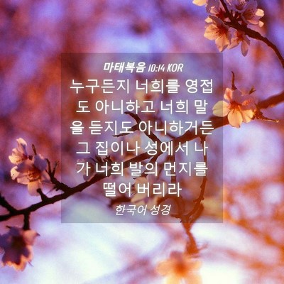 Picture 04 - 마태복음 10:14 KOR - 누구든지 너희를 영접도 아니하고 - Bible Verse Picture