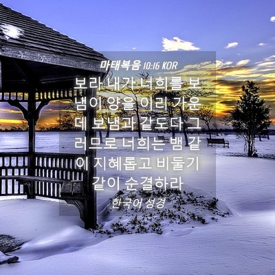 Picture 04 - 마태복음 10:16 KOR - 보라 내가 너희를 보냄이 양을 이리 - Bible Verse Picture
