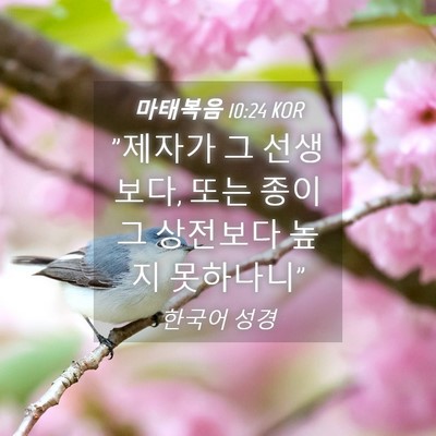 Picture 04 - 마태복음 10:24 KOR - 