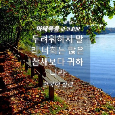 Picture 04 - 마태복음 10:31 KOR - 두려워하지 말라 너희는 많은 - Bible Verse Picture