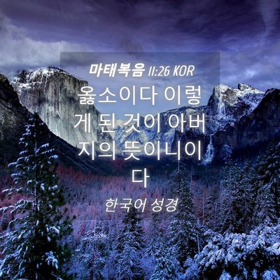 Picture 04 - 마태복음 11:26 KOR - 옳소이다 이렇게 된 것이 아버지의 - Bible Verse Picture