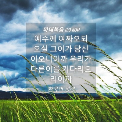 Picture 04 - 마태복음 11:3 KOR - 예수께 여짜오되 오실 그이가 - Bible Verse Picture