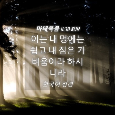 Picture 04 - 마태복음 11:30 KOR - 이는 내 멍에는 쉽고 내 짐은 - Bible Verse Picture