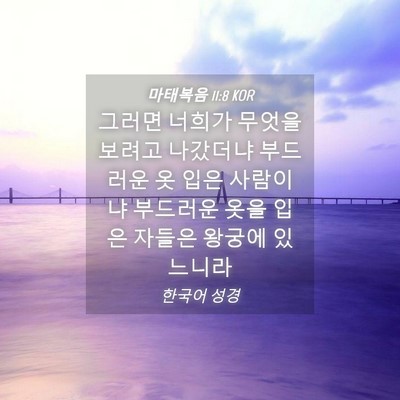 Picture 04 - 마태복음 11:8 KOR - 그러면 너희가 무엇을 보려고 - Bible Verse Picture