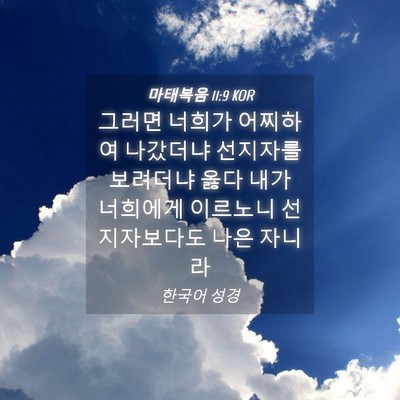 Picture 04 - 마태복음 11:9 KOR - 그러면 너희가 어찌하여 나갔더냐 - Bible Verse Picture