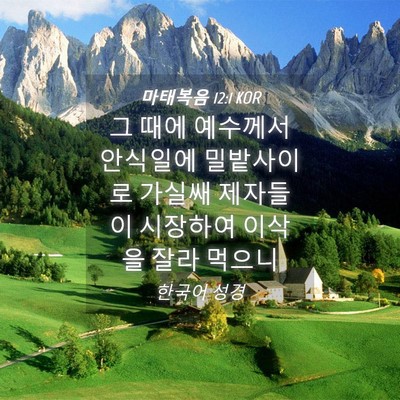 Picture 04 - 마태복음 12:1 KOR - 그 때에 예수께서 안식일에 - Bible Verse Picture