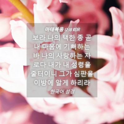 Picture 04 - 마태복음 12:18 KOR - 보라 나의 택한 종 곧 내 마음에 - Bible Verse Picture