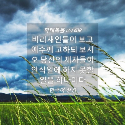 Picture 04 - 마태복음 12:2 KOR - 바리새인들이 보고 예수께 고하되 - Bible Verse Picture