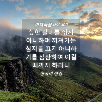 Picture 04 - 마태복음 12:20 KOR - 상한 갈대를 꺾지 아니하며 꺼져가는 - Bible Verse Picture