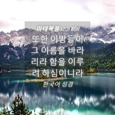 Picture 04 - 마태복음 12:21 KOR - 또한 이방들이 그 이름을 바라리라 - Bible Verse Picture