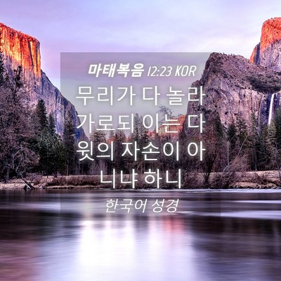 Picture 04 - 마태복음 12:23 KOR - 무리가 다 놀라 가로되 이는 다윗의 - Bible Verse Picture