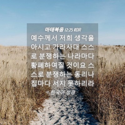 Picture 04 - 마태복음 12:25 KOR - 예수께서 저희 생각을 아시고 - Bible Verse Picture