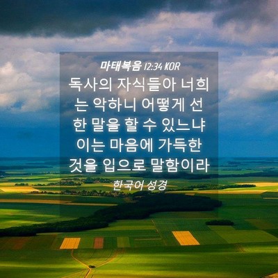 Picture 04 - 마태복음 12:34 KOR - 독사의 자식들아 너희는 악하니 - Bible Verse Picture