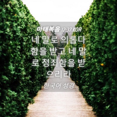 Picture 04 - 마태복음 12:37 KOR - 네 말로 의롭다 함을 받고 네 말로 - Bible Verse Picture