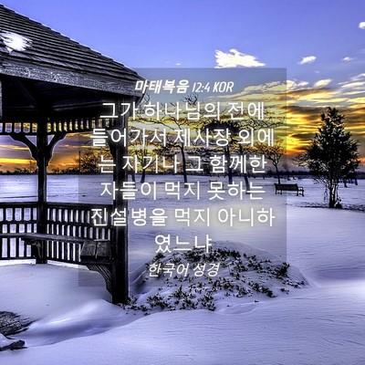 Picture 04 - 마태복음 12:4 KOR - 그가 하나님의 전에 들어가서 제사장 - Bible Verse Picture