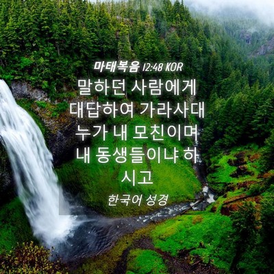 Picture 04 - 마태복음 12:48 KOR - 말하던 사람에게 대답하여 가라사대 - Bible Verse Picture