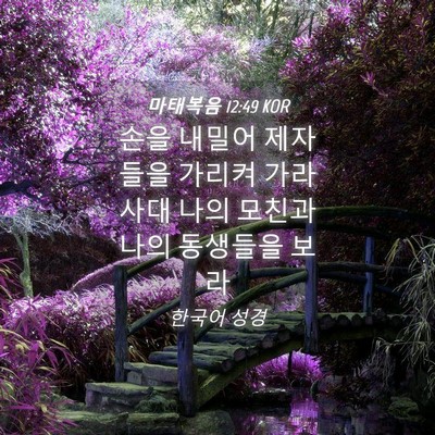 Picture 04 - 마태복음 12:49 KOR - 손을 내밀어 제자들을 가리켜 - Bible Verse Picture