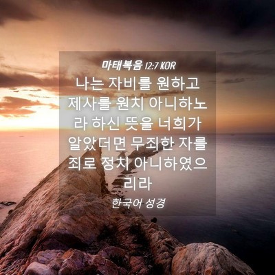 Picture 04 - 마태복음 12:7 KOR - 나는 자비를 원하고 제사를 원치 - Bible Verse Picture