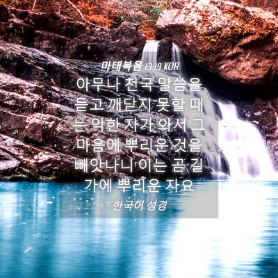 Picture 04 - 마태복음 13:19 KOR - 아무나 천국 말씀을 듣고 깨닫지 - Bible Verse Picture