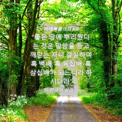 Picture 04 - 마태복음 13:23 KOR - 