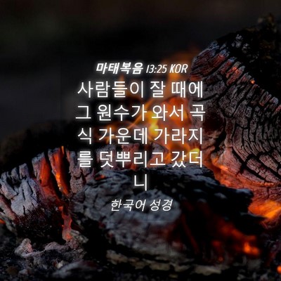 Picture 04 - 마태복음 13:25 KOR - 사람들이 잘 때에 그 원수가 와서 - Bible Verse Picture