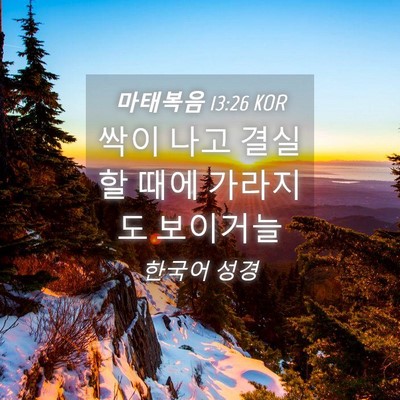 Picture 04 - 마태복음 13:26 KOR - 싹이 나고 결실할 때에 가라지도 - Bible Verse Picture