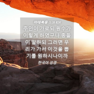 Picture 04 - 마태복음 13:28 KOR - 주인이 가로되 원수가 이렇게 - Bible Verse Picture