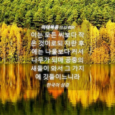 Picture 04 - 마태복음 13:32 KOR - 이는 모든 씨보다 작은 것이로되 - Bible Verse Picture