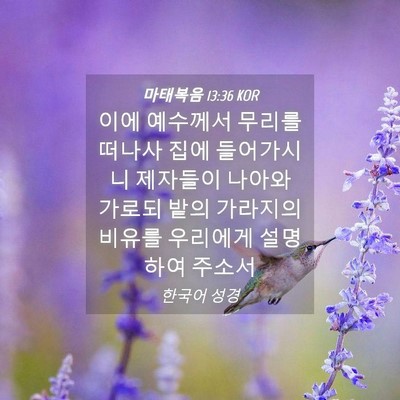 Picture 04 - 마태복음 13:36 KOR - 이에 예수께서 무리를 떠나사 집에 - Bible Verse Picture
