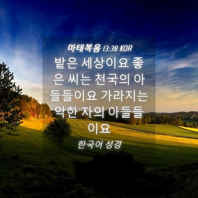 Picture 04 - 마태복음 13:38 KOR - 밭은 세상이요 좋은 씨는 천국의 - Bible Verse Picture